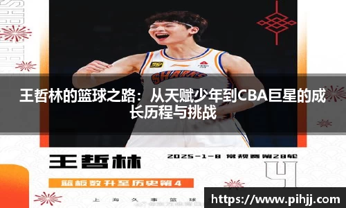 王哲林的篮球之路：从天赋少年到CBA巨星的成长历程与挑战